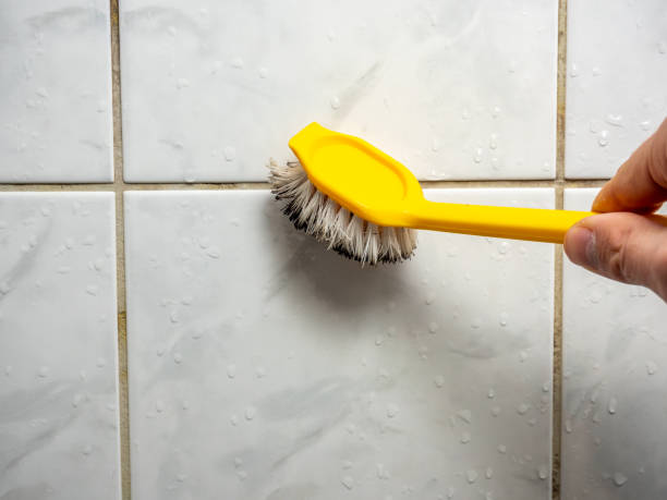 Best Mold Cleaning Services  in Rustburg, VA