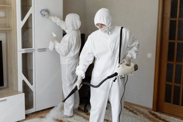 Best Mold Removal and Inspection  in Rustburg, VA