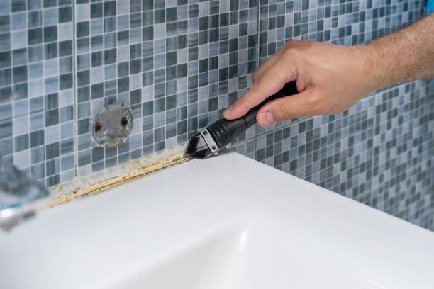 Best Mold Removal Near Me  in Rustburg, VA