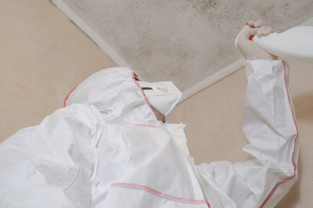 Best Mold Remediation  in Rustburg, VA