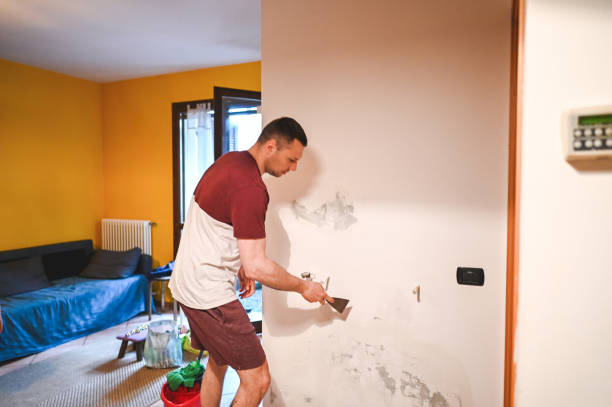 Best Best Mold Removal Companies  in Rustburg, VA