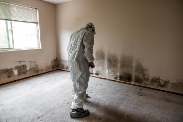 Best Residential Mold Removal  in Rustburg, VA