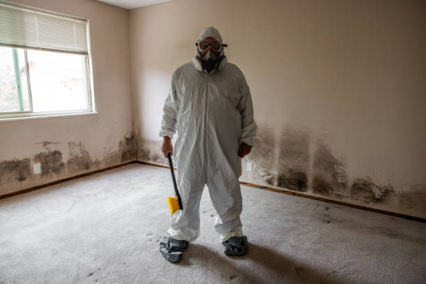 Best Emergency Mold Removal  in Rustburg, VA